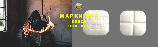 спайс Арсеньев