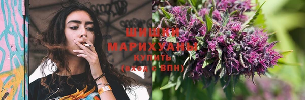 спайс Арсеньев